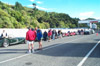 Mogs lined up for the ferry